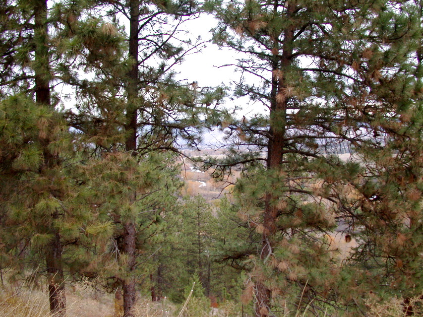 DSCN0855.JPG
